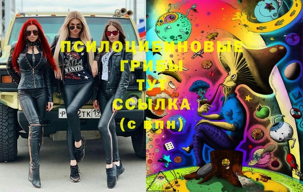 PSILOCYBIN Кинешма
